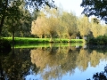 DSC_0424-2-e1482239811251